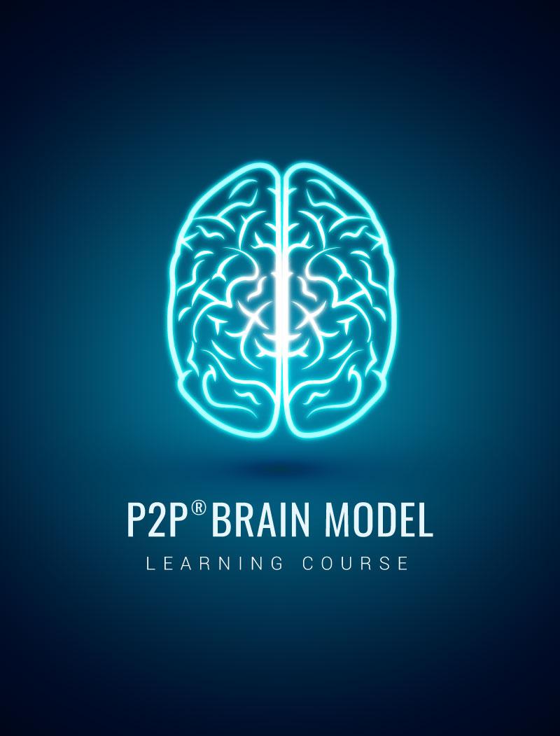 Brain Model